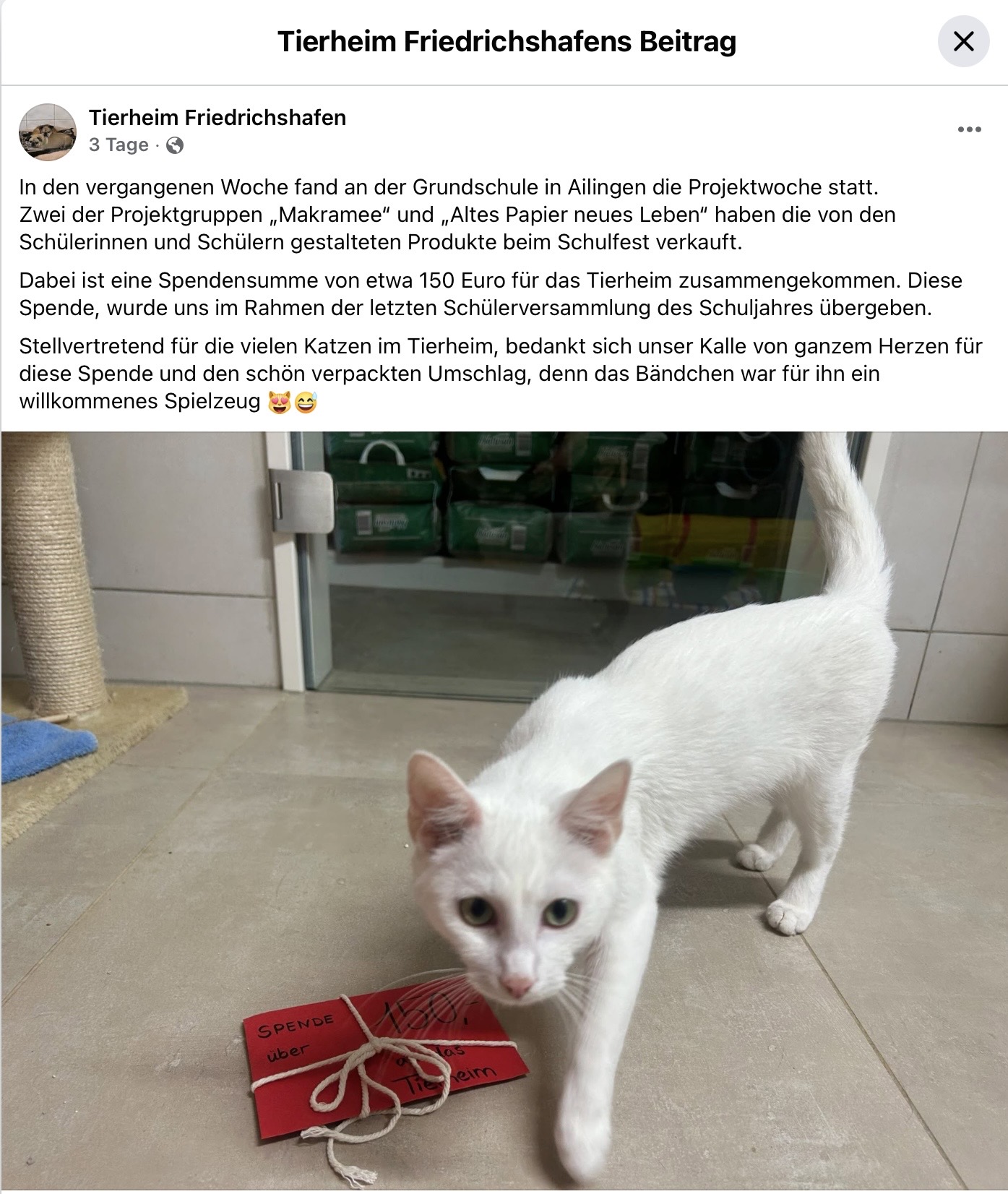 Spende Tierheim